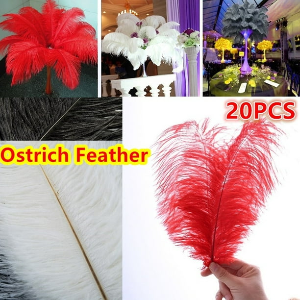 Decor Champagne, 12-14 in, 12 Pack Ostrich Feather Plumes for Crafts Wedding 
